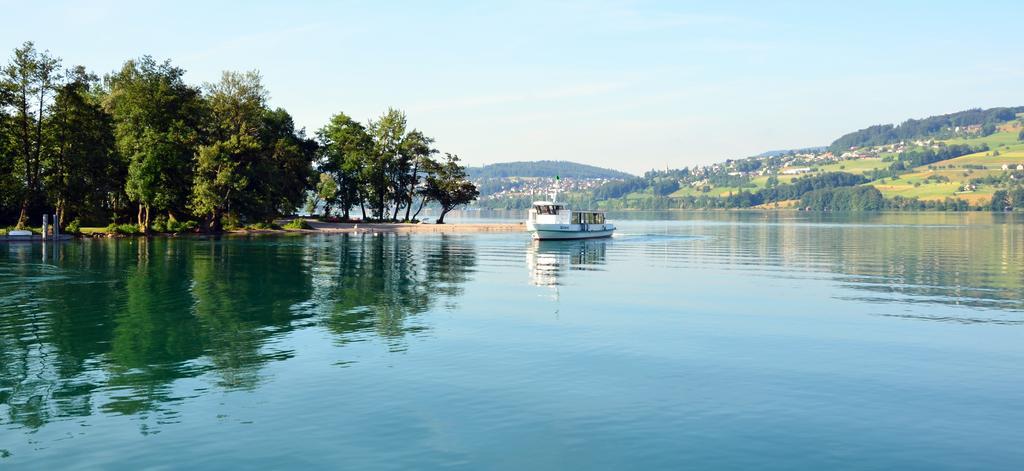 Seehotel Delphin Meisterschwanden ภายนอก รูปภาพ